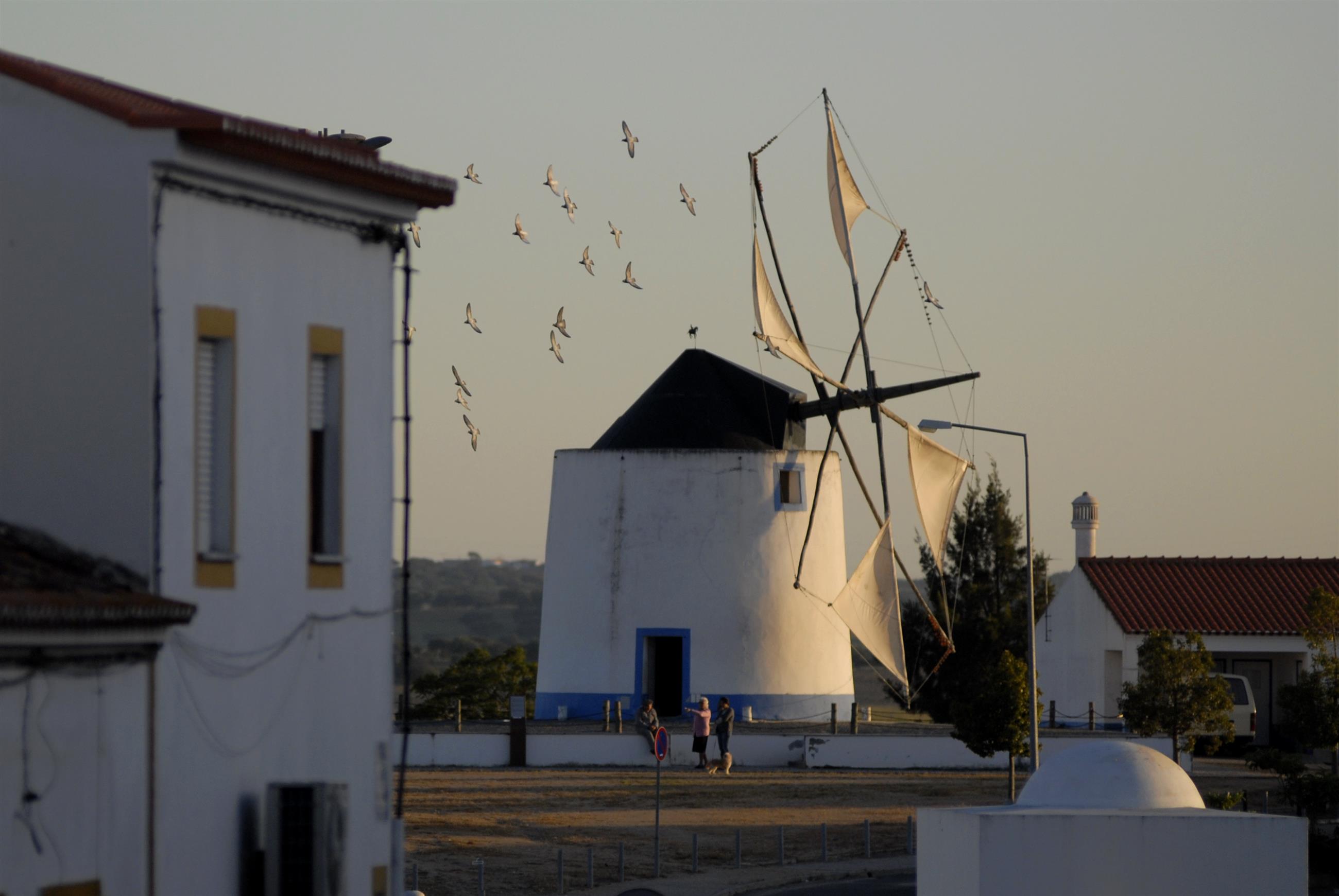 Moinho do Largo da Feira